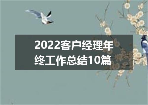 2022客户经理年终工作总结10篇