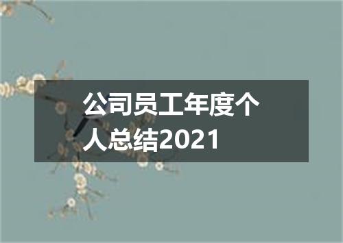 公司员工年度个人总结2021