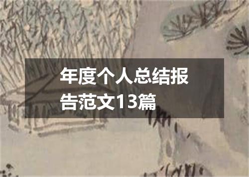 年度个人总结报告范文13篇