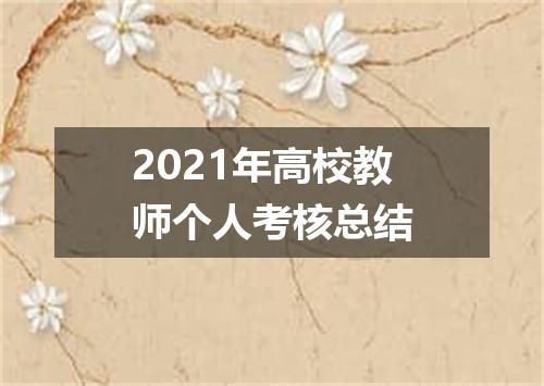 2021年高校教师个人考核总结