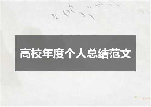 高校年度个人总结范文
