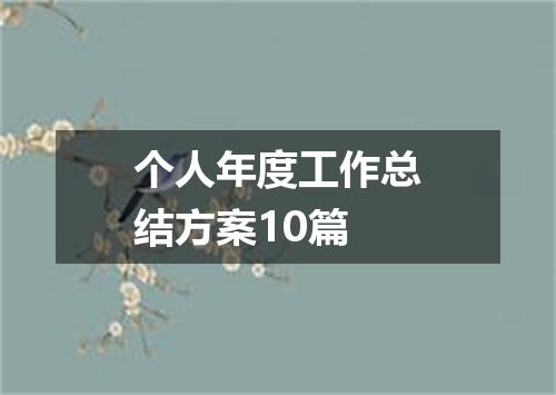个人年度工作总结方案10篇
