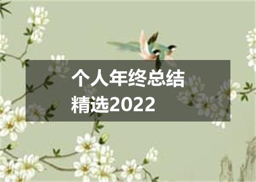 个人年终总结精选2022