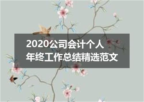 2020公司会计个人年终工作总结精选范文
