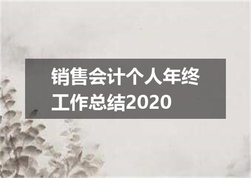 销售会计个人年终工作总结2020
