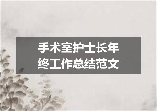 手术室护士长年终工作总结范文