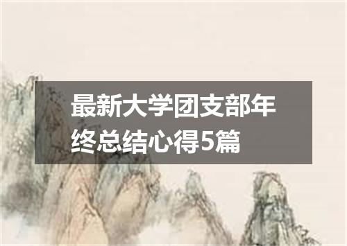 最新大学团支部年终总结心得5篇