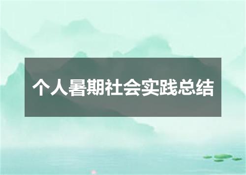 个人暑期社会实践总结