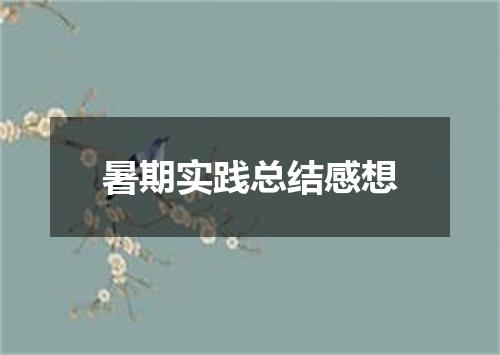 暑期实践总结感想