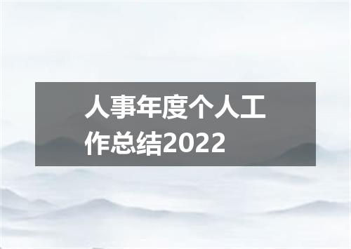 人事年度个人工作总结2022
