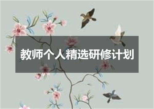 教师个人精选研修计划