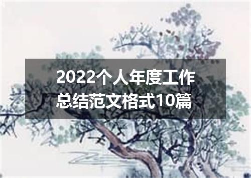 2022个人年度工作总结范文格式10篇