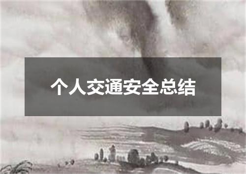 个人交通安全总结