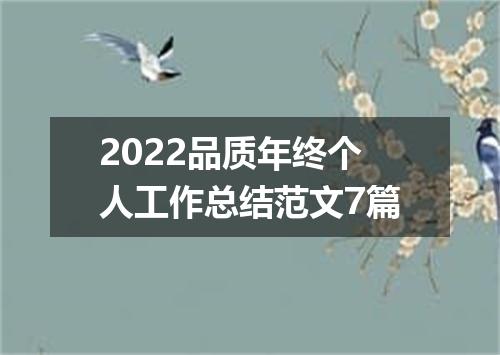 2022品质年终个人工作总结范文7篇