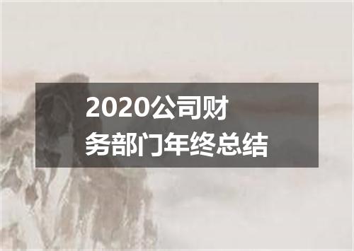 2020公司财务部门年终总结