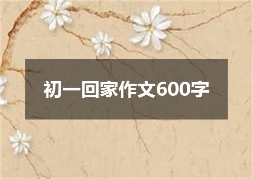 初一回家作文600字