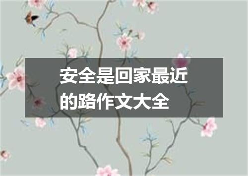 安全是回家最近的路作文大全