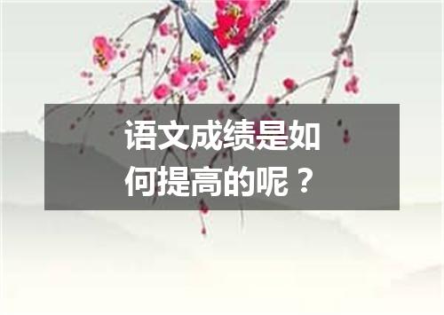 语文成绩是如何提高的呢？