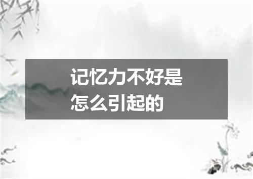 记忆力不好是怎么引起的