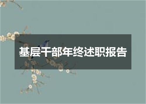 基层干部年终述职报告