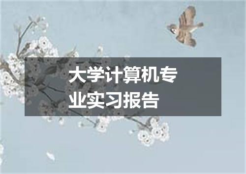 大学计算机专业实习报告