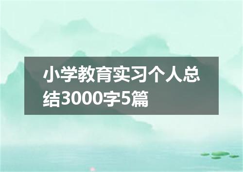 小学教育实习个人总结3000字5篇