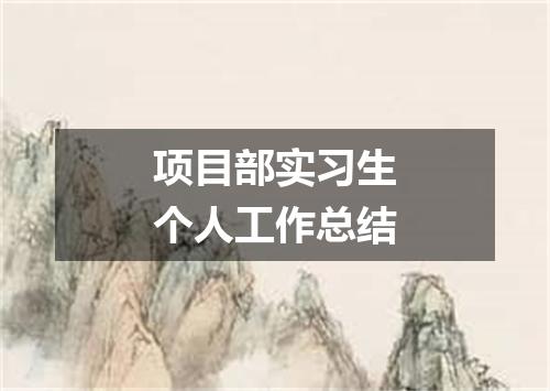 项目部实习生个人工作总结