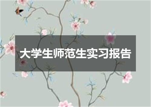 大学生师范生实习报告