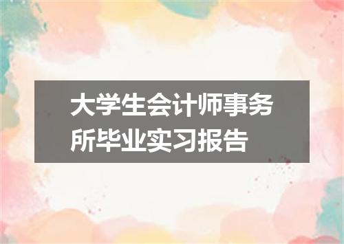 大学生会计师事务所毕业实习报告