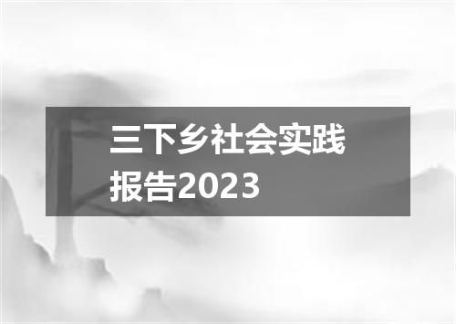 三下乡社会实践报告2023