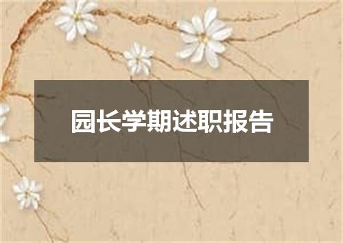 园长学期述职报告