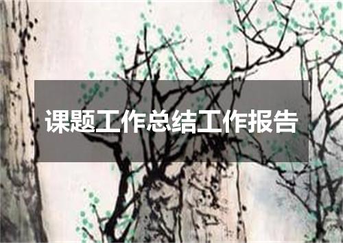 课题工作总结工作报告