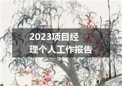 2023项目经理个人工作报告