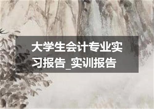 大学生会计专业实习报告_实训报告