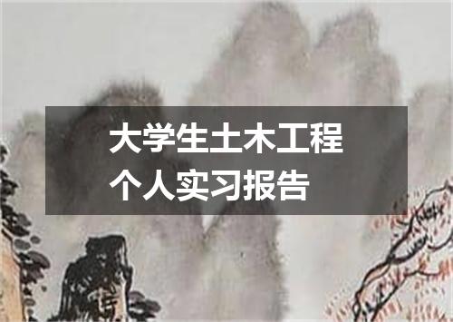 大学生土木工程个人实习报告