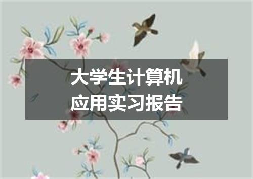 大学生计算机应用实习报告