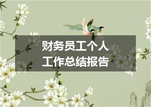 财务员工个人工作总结报告