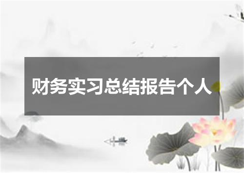 财务实习总结报告个人