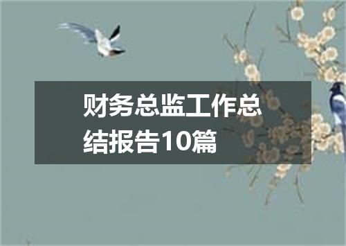 财务总监工作总结报告10篇