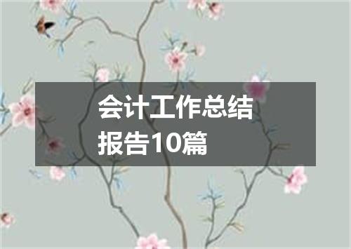 会计工作总结报告10篇
