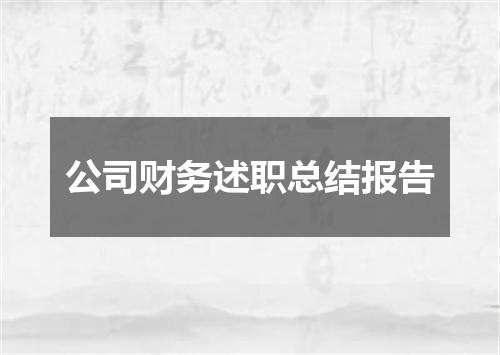 公司财务述职总结报告