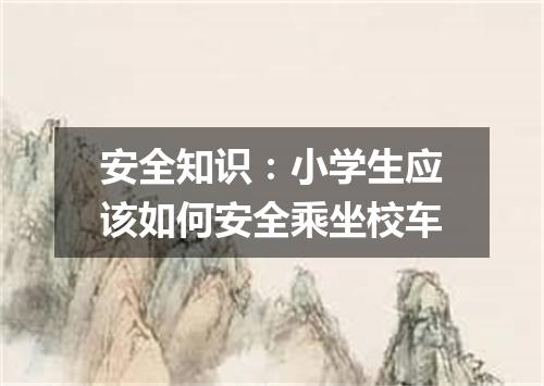 安全知识：小学生应该如何安全乘坐校车