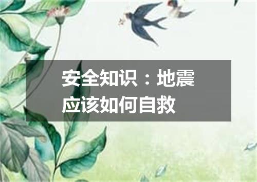 安全知识：地震应该如何自救