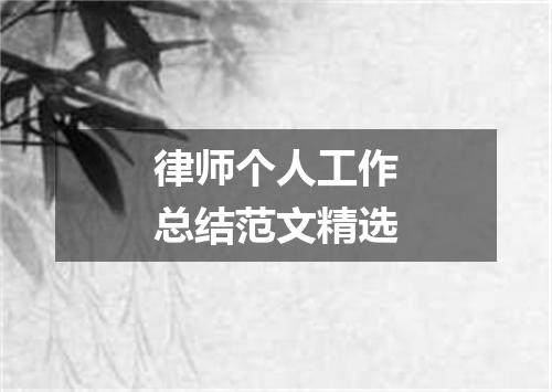 律师个人工作总结范文精选