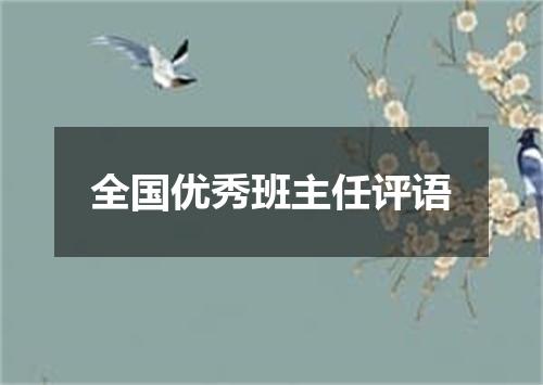 全国优秀班主任评语