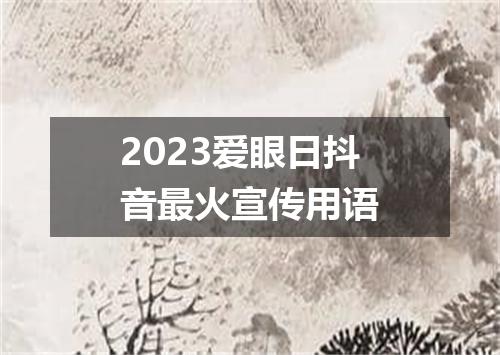 2023爱眼日抖音最火宣传用语