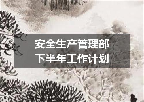 安全生产管理部下半年工作计划