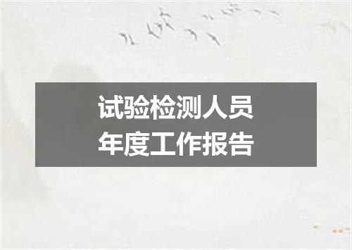 试验检测人员年度工作报告