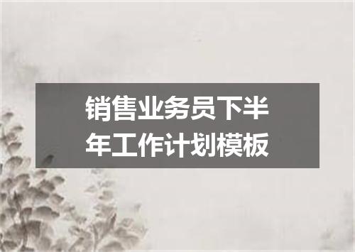 销售业务员下半年工作计划模板