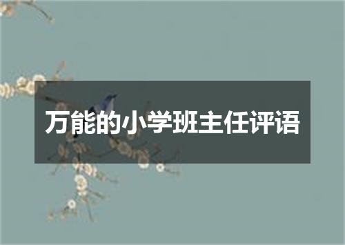 万能的小学班主任评语